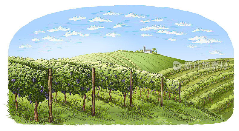 colorfull vine plantation hills, trees, clouds, and ancient castle on the horizon